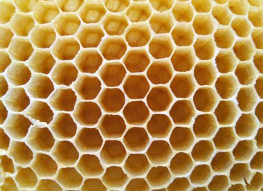 Balmumu peteği yakın plan, sağlam arkaplan