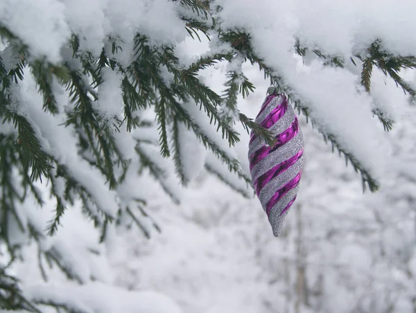 Παγοκρύσταλλος του νέου έτους σε ένα κλαδί στο χιονισμένο δάσος — Φωτογραφία Αρχείου