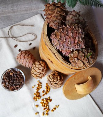 Sepette çam kozalakları ve soyulmuş ceviz