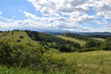 Dağlarla ve ormanlarla dolu bir manzara.