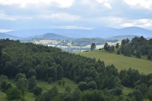 Landschaft Mit Bergen Und Wald — Stockfoto