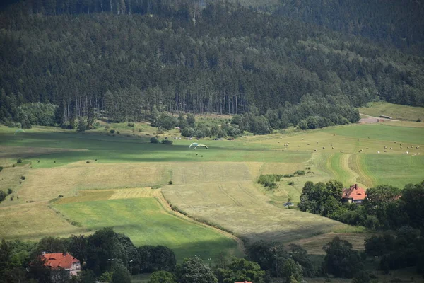 Landschaft Mit Bergen Und Wald — Stockfoto