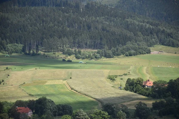 Landschaft Mit Bergen Und Wald — Stockfoto