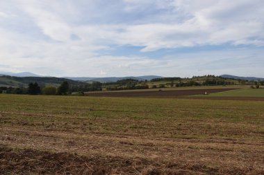 Arka planda bir traktör ile sonbahar çalışması