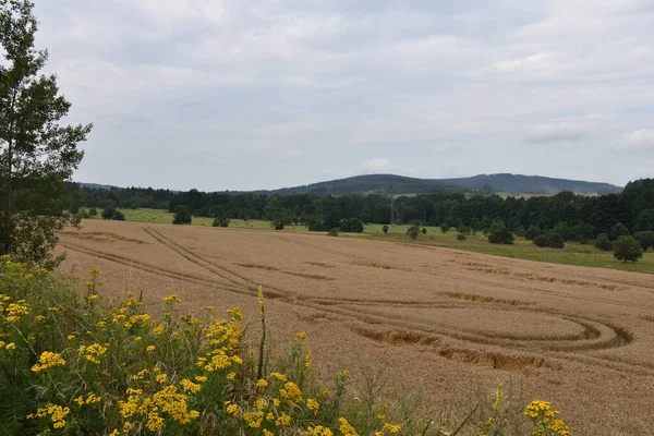 Landskap Med Jordbruksmark Och Berg — Stockfoto