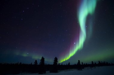 NightSky aydınlandı aurora borealis, Kuzey ışıkları, wapusk Milli Parkı, ile Manitoba, Kanada.