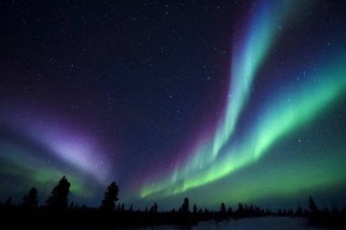 NightSky aydınlandı aurora borealis, Kuzey ışıkları, wapusk Milli Parkı, ile Manitoba, Kanada.