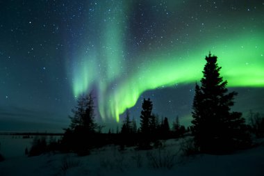 Aurora borealis, Kuzey ışıkları, wapusk Milli Parkı, Manitoba, Kanada.