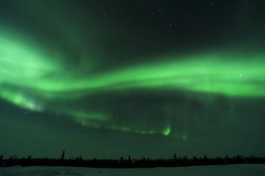 NightSky aydınlandı aurora borealis, Kuzey ışıkları, wapusk Milli Parkı, ile Manitoba, Kanada.