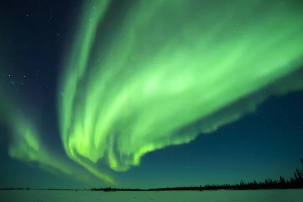 Nightsky Iluminado Com Aurora Boreal Luzes Norte Parque Nacional Wapusk — Fotografia de Stock