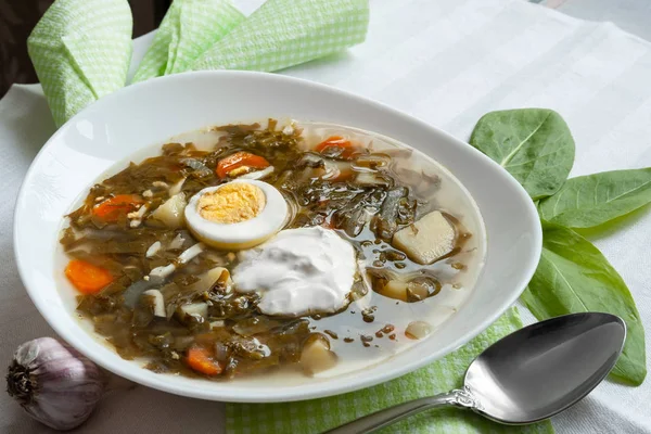Ukraynalı yeşil borsch yumurta ekşi krema ve kuzukulağı beyaz bir plaka ile. Ulusal mutfağı. Sağlıklı beslenme kavramı.