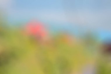 Doğal güzel arka plan bulanık. Tasarım için renkli duvar kağıdı.