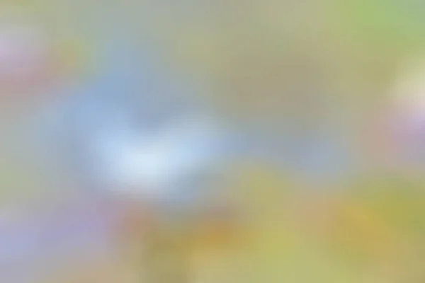 Natürlichen Schönen Verschwommenen Hintergrund Farbige Tapete Für Das Design — Stockfoto