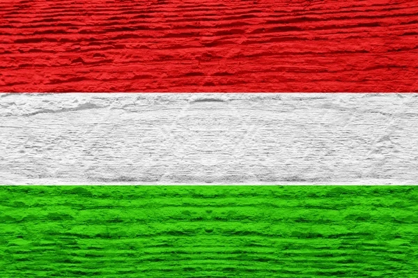 Ungern Flagga Med Trä Textur — Stockfoto