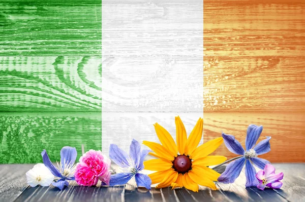 그런 지 야생화와 아일랜드의 국기입니다. 나무 텍스처입니다. 디자인 및 텍스트에 대 한 배경 — 스톡 사진