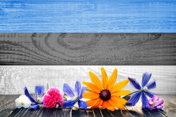 Grunge banderą Estonii z polne kwiaty. Struktura drewna. Tło dla projektowania i tekst — Zdjęcie stockowe