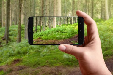 El üstünde belgili tanımlık perde orman doğa fotoğrafçılığı Smartphone. Sosyal ağlar yazabilmek için orman manzara fotoğrafları.