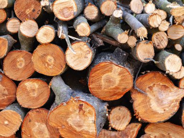 Odun yığını. Bir yığın doğranmış ahşap. 