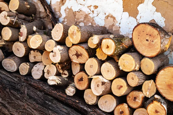 Legna da ardere segata. Un mucchio di legna tagliata . — Foto Stock