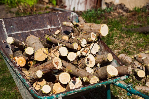 Příprava na dřevo. Hromada sekané dříví. — Stock fotografie