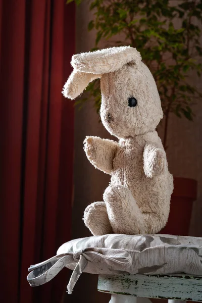 Vintage toy rabbit.Old vintage soft toy hare sits in vintage white chair.