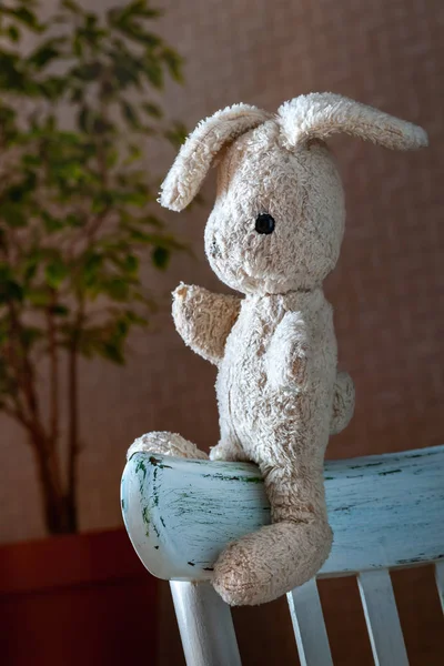 Vintage giocattolo coniglio.Old vintage lepre giocattolo morbido siede nella vecchia sedia bianca . — Foto Stock