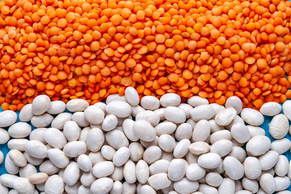 White beans and red lentils. Background with lots of red lentils and white beans.