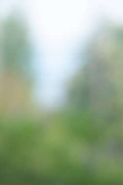 Bulanık yumuşak arka plan. Ağaçların, yaprakların ve çiçeklerin bulanık yaz arka planı. Açık diyafram defokus etkisi.