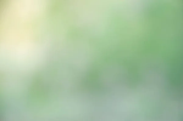 Blurred soft background. Blurred summer background of trees, leaves and flowers. The effect of the defocus of the open aperture. — Stock Photo, Image