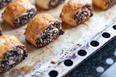 Bir fırın tepsisinde haşhaş tohumu ile gevrek taze pişmiş kurabiye. 