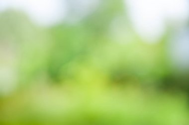 Bokeh etkisi ile bulanık yumuşak yaz çiçek arka plan.