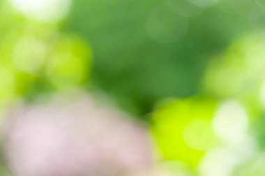 Bokeh etkisi ile bulanık yumuşak yaz arka plan.