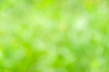 Bokeh etkisi ile bulanık yumuşak gündüz çiçek arka plan.