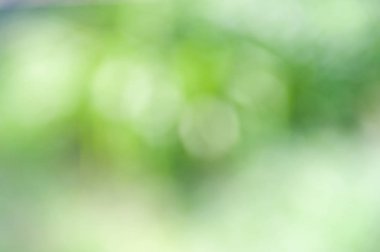 Bokeh etkisi ile bulanık yumuşak yaz arka plan.