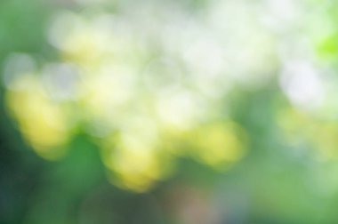 Bokeh etkisi ile bulanık yumuşak yaz arka plan.