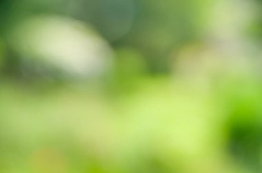 Bokeh etkisi ile bulanık yumuşak yaz arka plan.