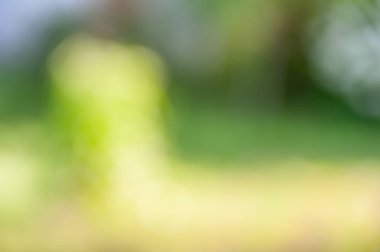 Bokeh etkisi ile bulanık yumuşak yaz yeşil arka plan.