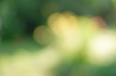 Bokeh etkisi ile bulanık yumuşak yaz yeşil arka plan.
