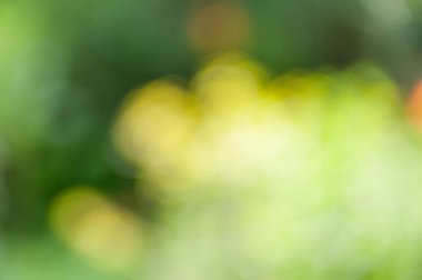 Bokeh etkisi ile bulanık yumuşak yaz arka plan.