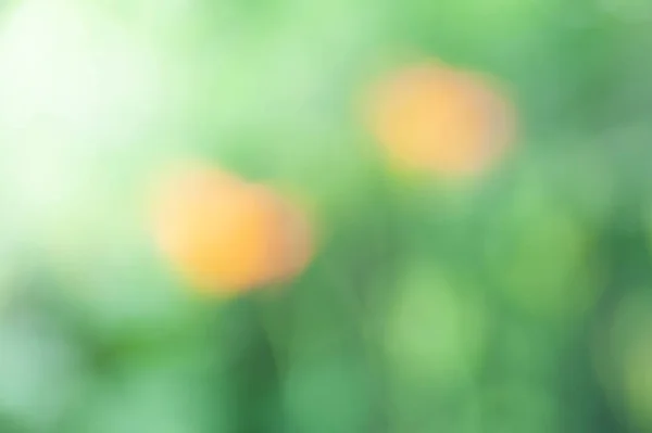 Blurred soft summer floral background with bokeh effect.