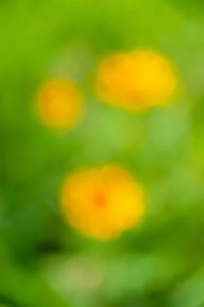 Blurred soft daytime floral background with bokeh effect.