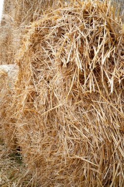 Yığın saman closeup. Saman balyalarının dokusu büyük yığınlar halinde istiflenir.