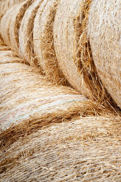 Hay stacks. Close-up of large hay bales stacked in stacks. — Stock Photo, Image