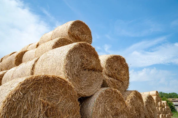 Close-up of hay bales on a sky background. Hay bales are stacked in large stacks. — Stock Photo, Image