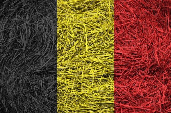 Βέλγιο σημαία σε μια επιφάνεια ρολό σανό. — Φωτογραφία Αρχείου