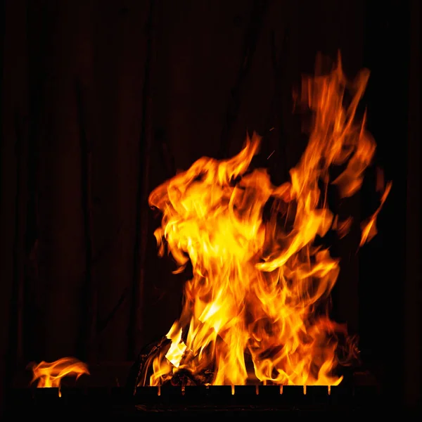 Llama de fuego sobre un fondo oscuro. Luminoso fuego ardiente por la noche. Hoguera en la barbacoa, chimenea y hogar . — Foto de Stock