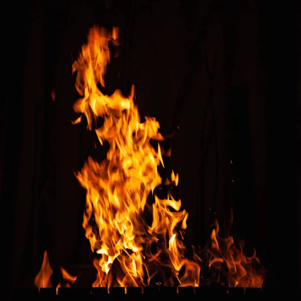 Llama de fuego. Luminoso fuego ardiente por la noche. Hoguera en la barbacoa, chimenea y hogar . — Foto de Stock