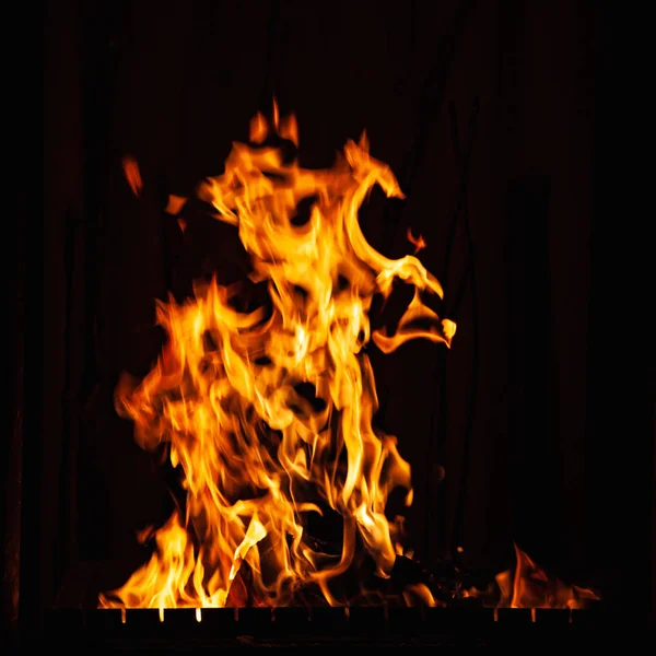 Llama de fuego. Fuego brillante ardiendo por la noche. Un fuego en la parrilla, chimenea y hogar . —  Fotos de Stock