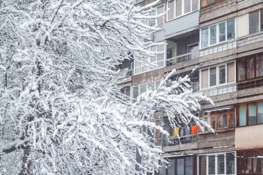 Evin arka planına karşı karda büyük bir ağacın dalları. Şehir avlusu yoğun karla kaplı.. 