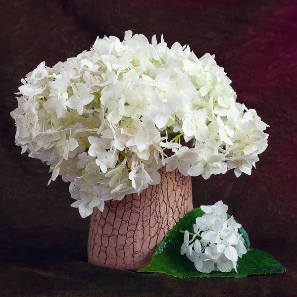 Hydrangea in a vase. Hydrangea inflorescence on a dark background. Still life with flowers. Selective soft focus.